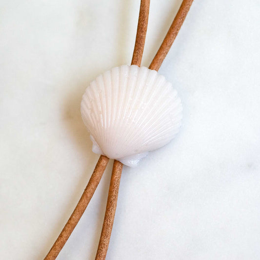 Scallop Bolo